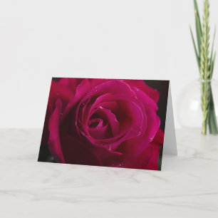 Rote Rose Feiertagskarte