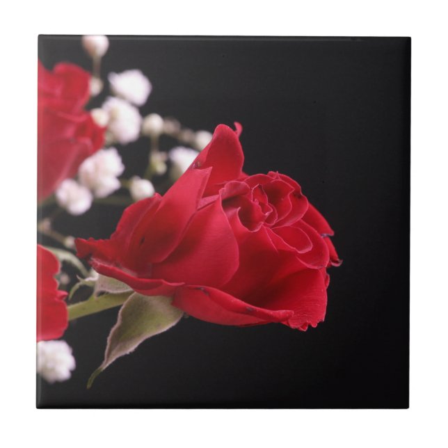 Rote Rose Floral Tile Fliese (Vorderseite)