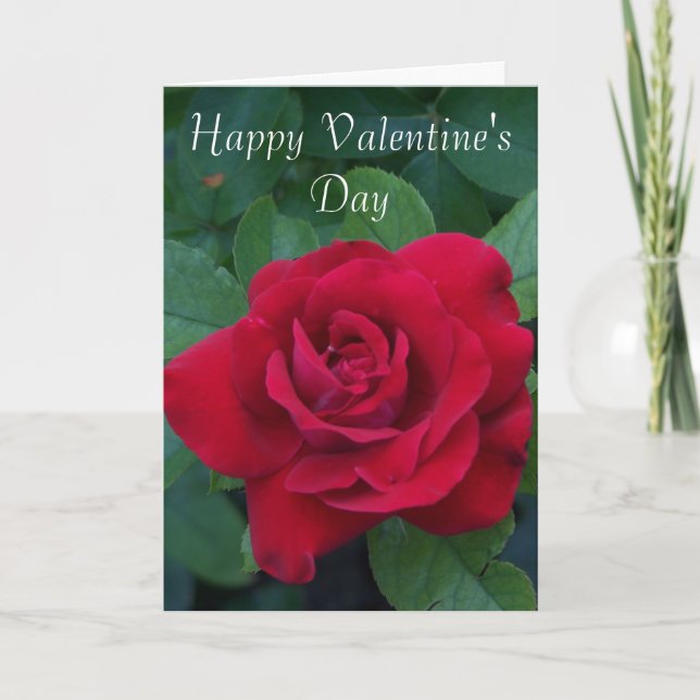 Rote Rose Foto Feiertagskarte (Vorderseite)