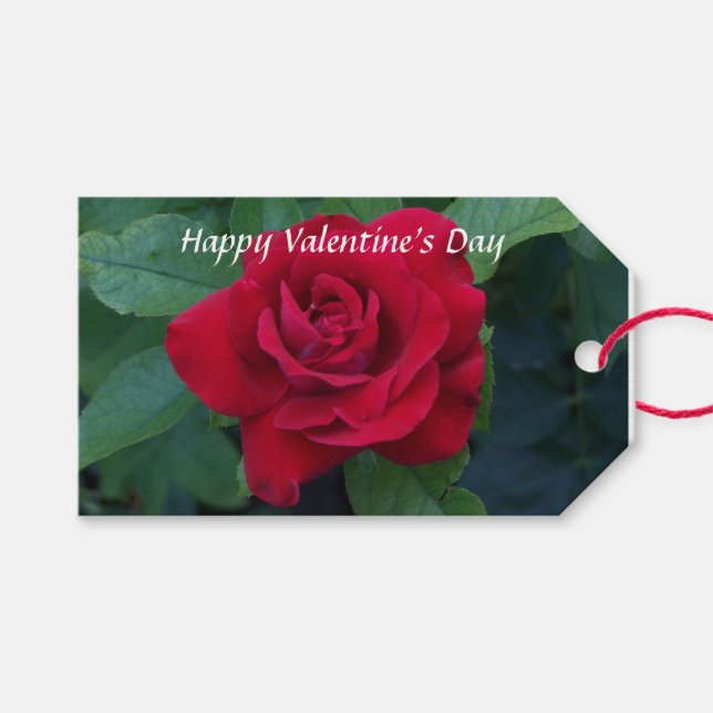 rote Rose Foto Geschenkanhänger (Vorderseite (Horizontal))