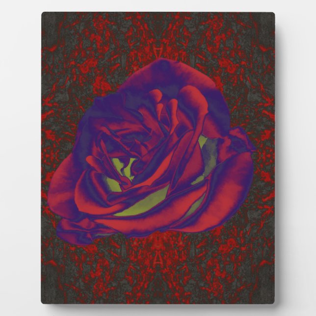 Rote Rose Foto Plaque Fotoplatte (Vorderseite)