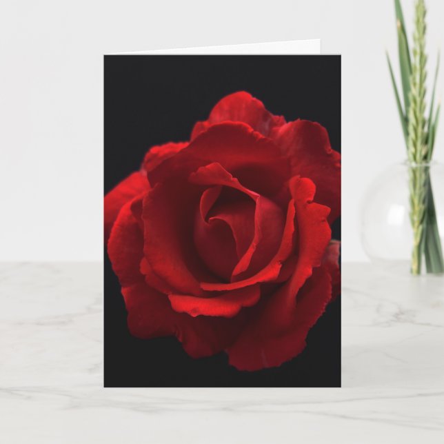 Rote Rose Gccnm Karte (Vorderseite)