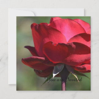 Rote Rose Geburtstag Einladung