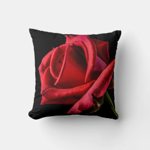 Rote Rose gegen schwarzen Hintergrund Kissen