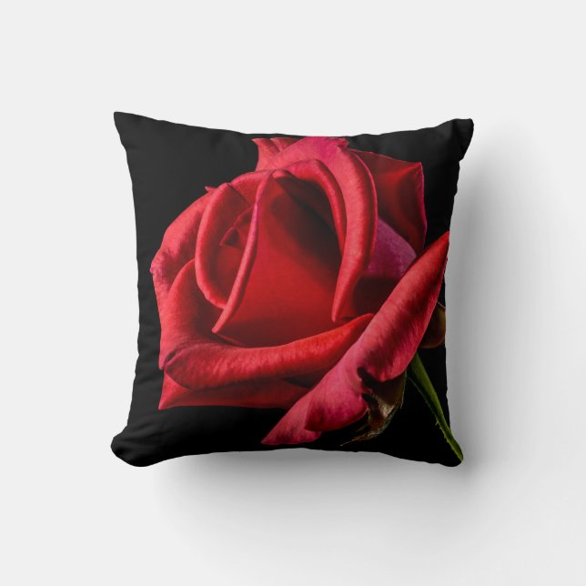Rote Rose gegen schwarzen Hintergrund Kissen (Vorderseite)