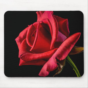 Rote Rose gegen schwarzen Hintergrund Mousepad