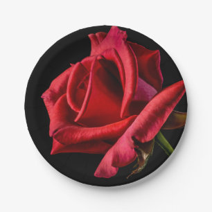 Rote Rose gegen schwarzen Hintergrund Pappteller