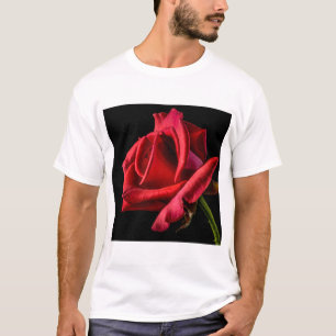 Rote Rose gegen schwarzen Hintergrund T-Shirt