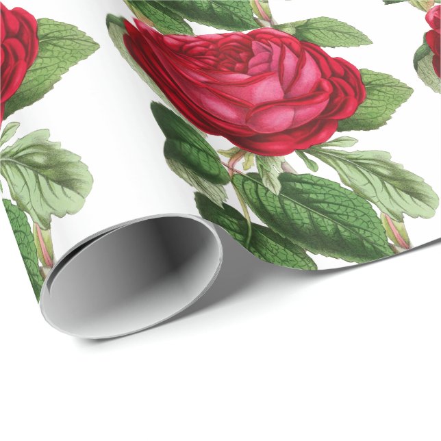 Rote Rose Geschenkpapier (Rolleneckpunkt)