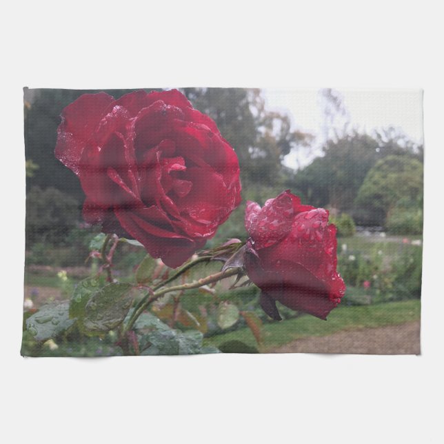 Rote Rose Geschirrtuch (Horizontal)