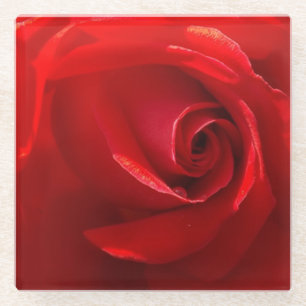 Rote Rose Glass Untersetzer