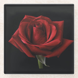 Rote Rose Glasuntersetzer