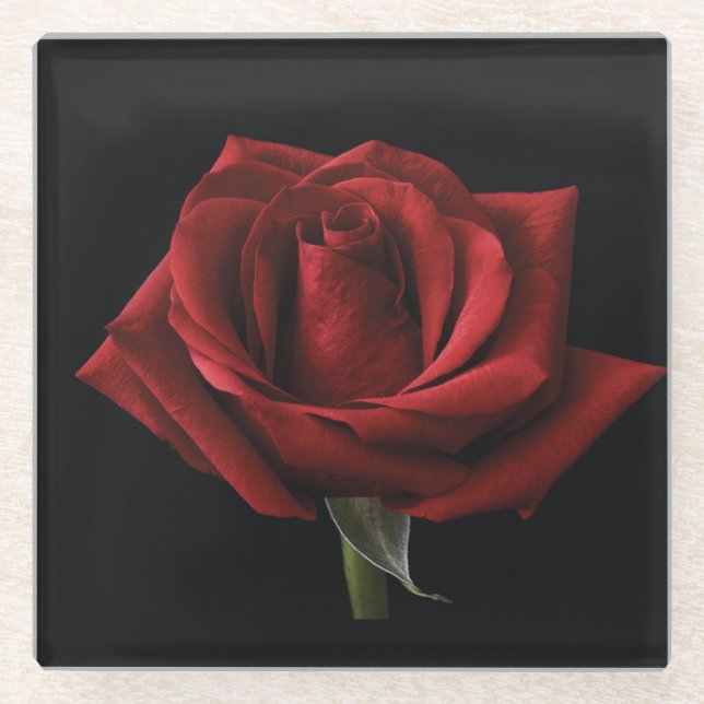 Rote Rose Glasuntersetzer (Vorderseite)