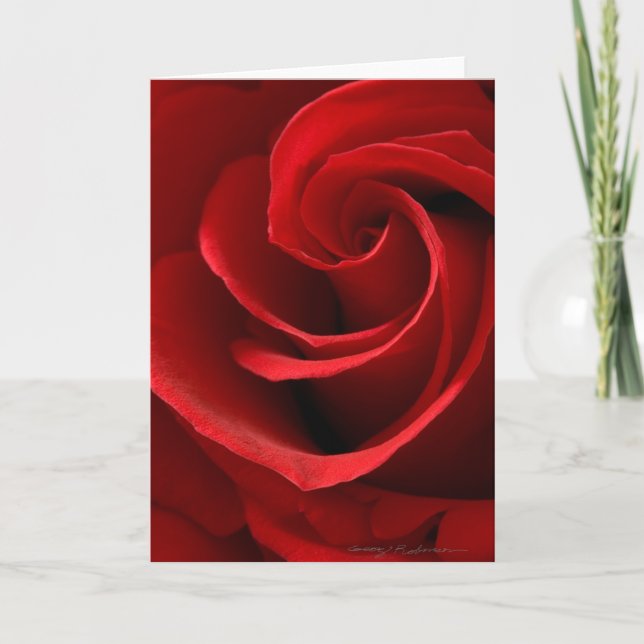 Rote Rose Grußkarte Karte (Vorderseite)