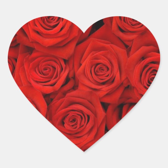 ROTE ROSE-HERZSTICKER UND UMSCHLAG AUFKLEBER (Vorderseite)