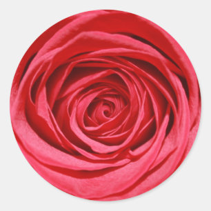 Rote Rose Hochzeit Blumen Glossy Blumenmuster Runder Aufkleber