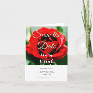 Rote Rose Hochzeitssache Datum speichern Einladung