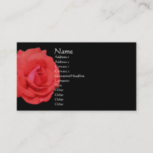 rote Rose in der Blume-Visitenkarte Visitenkarte