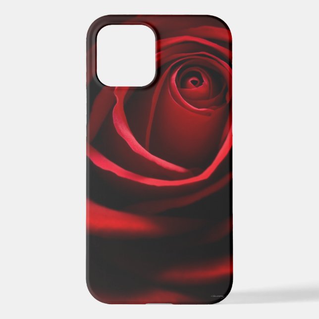 Rote Rose iPhone 12 Hülle (Rückseite)