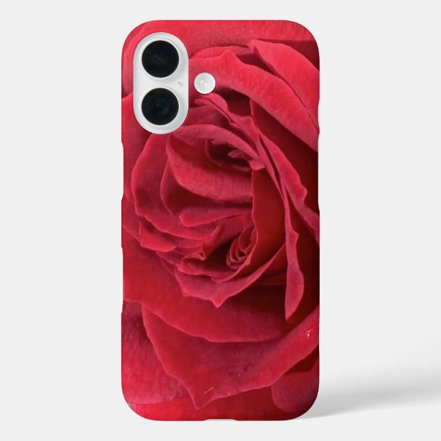 Rote Rose iPhone 16 Hülle (Rückseite)