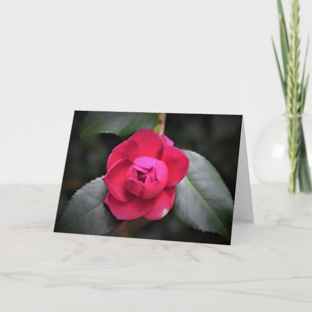 Rote Rose, Karte (Vorderseite)