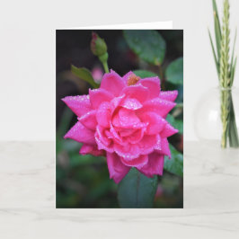 Rote Rose, Karte