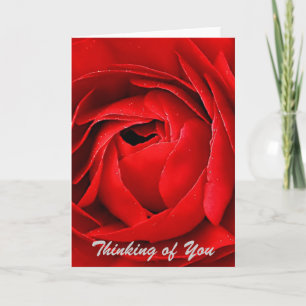 ROTE ROSE KARTE