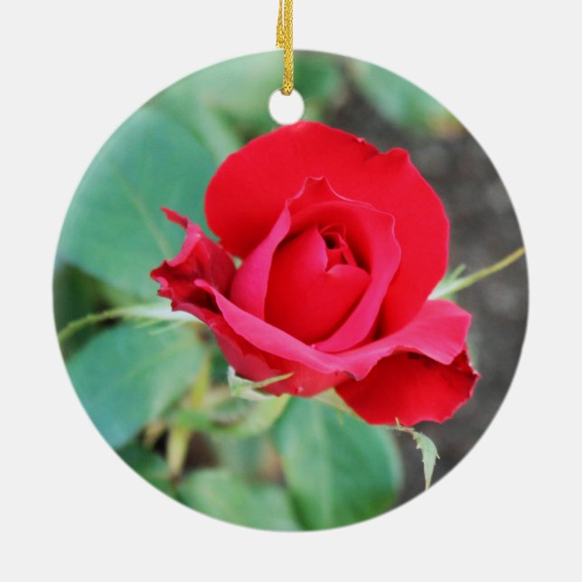 Rote Rose Keramik Ornament (Hinten)