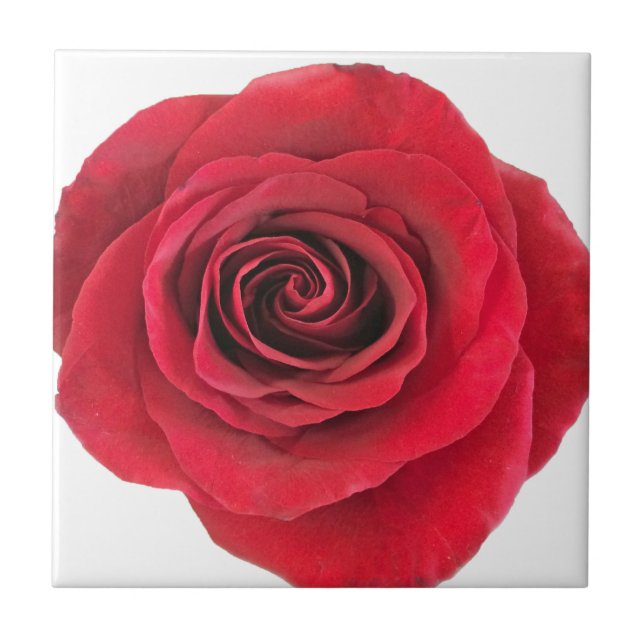 Rote Rose Keramik Tile Fliese (Vorderseite)