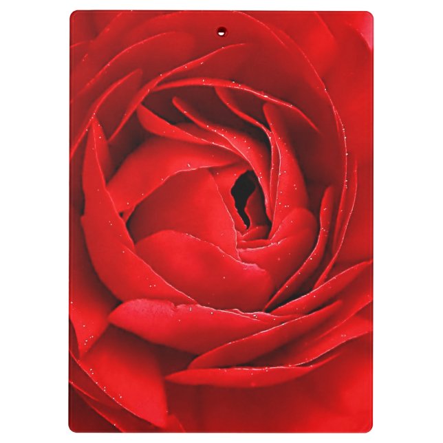 ROTE ROSE KLEMMBRETT (Rückseite)