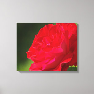ROTE ROSE - LEINWAND