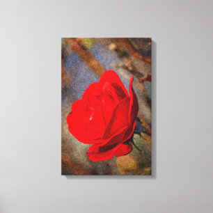 Rote Rose Leinwanddruck