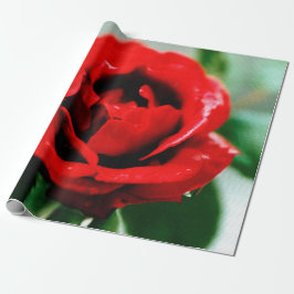 Rote Rose Liebe Geschenkpapier