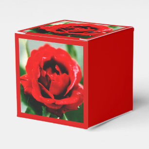 Rote Rose Liebe Geschenkschachtel