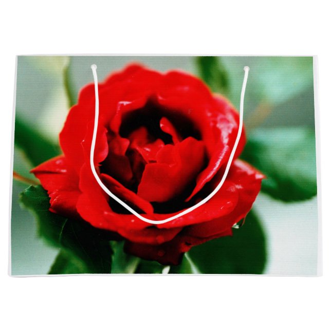 Rote Rose Liebe Große Geschenktüte (Vorderseite)