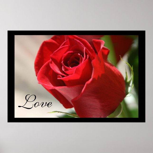 Rote Rose Liebe Poster Print (Vorne)
