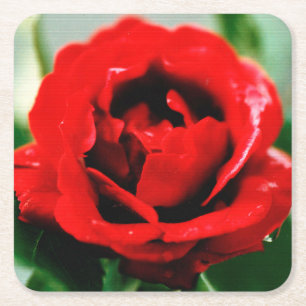 Rote Rose Liebe Rechteckiger Pappuntersetzer