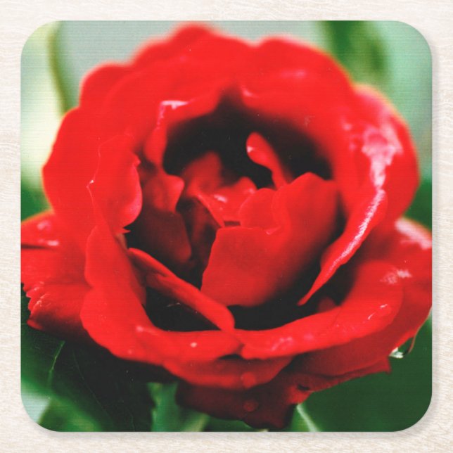 Rote Rose Liebe Rechteckiger Pappuntersetzer (Vorderseite)