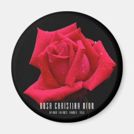 Rote Rose Magnet