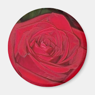 Rote Rose Magnet