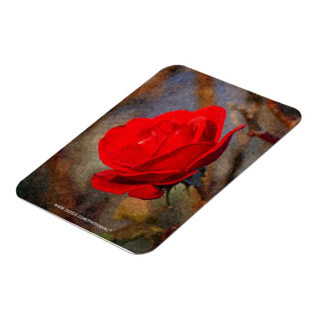 Rote Rose Magnet (Linke Seite)