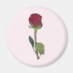Rote Rose Magnet
