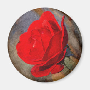 Rote Rose Magnet