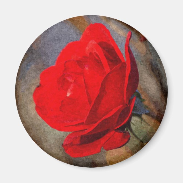Rote Rose Magnet (Vorne)