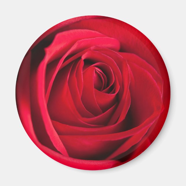 Rote Rose Magnet (Vorne)