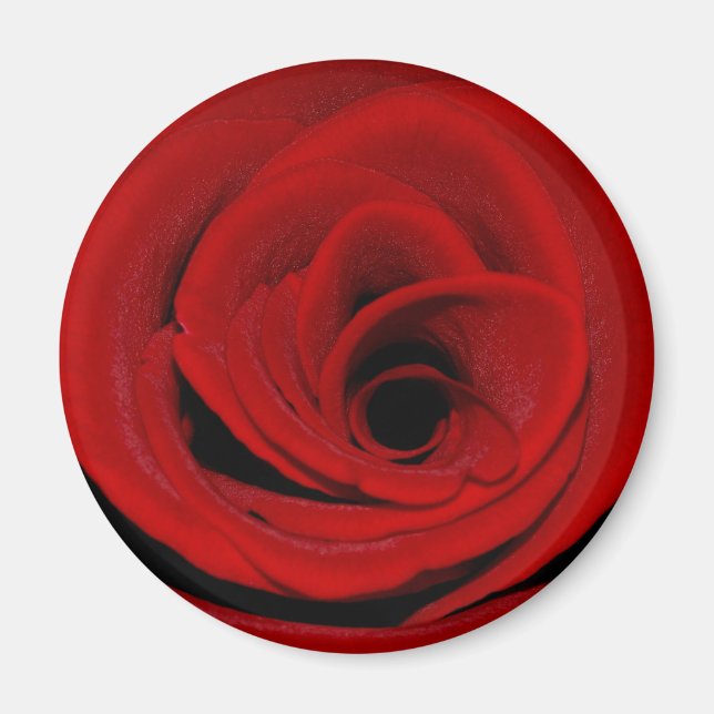 Rote Rose Magnet (Vorne)