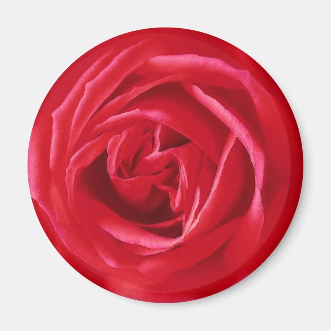 Rote Rose Magnet (Vorne)