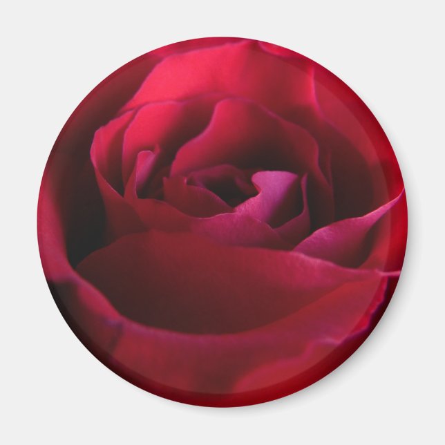 Rote Rose Magnete Rosa Geschenke Keepake Dekoratio Magnet (Vorne)