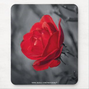 Rote Rose-Mauspad Mousepad