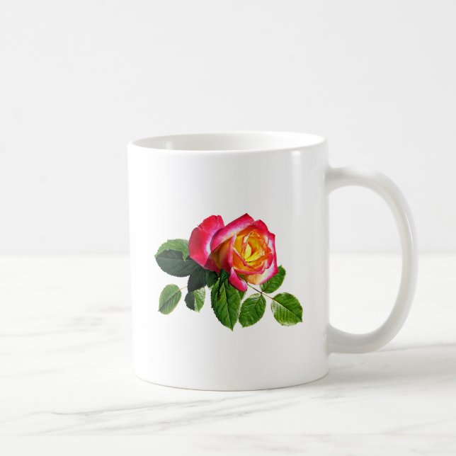 Rote Rose mit goldgelber Mitte Kaffeetasse (Rechts)